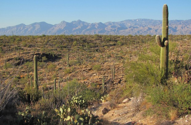 To hike off feast, relish bountiful trails here